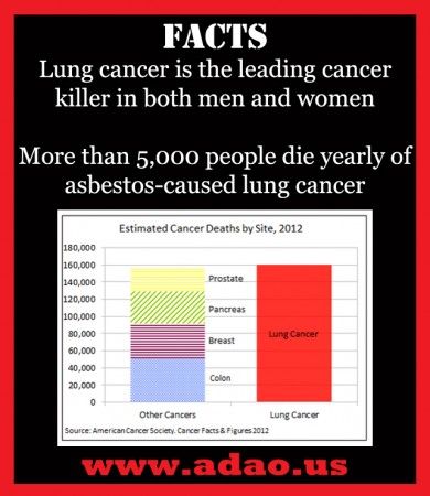 Lung Cancer Facts BORDER_edited-1