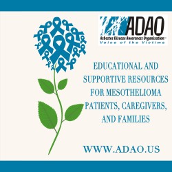 ADAO Mesothelioma Resources Border_edited-1