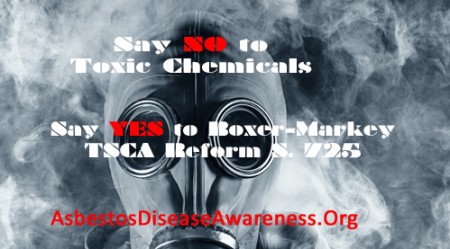 Say No to Toxic Chemicals Say Yes To Boxer Twitter_edited-2