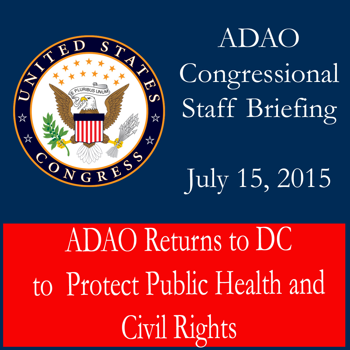 2015 ADAO Briefing_edited-1