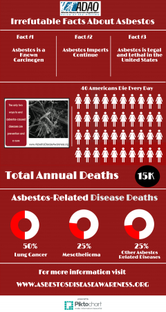 Irrefutable Facts About Asbestos (2)