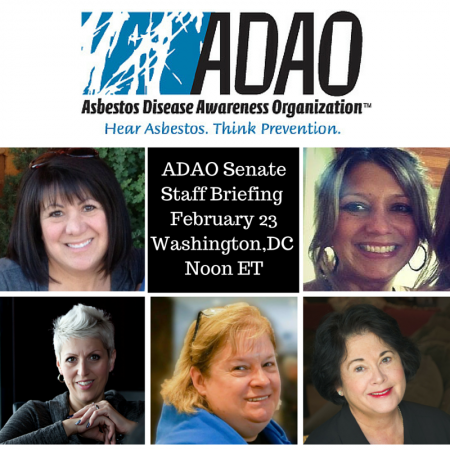 ADAO Senate Staff Breiing Febraury 23 Noon ET