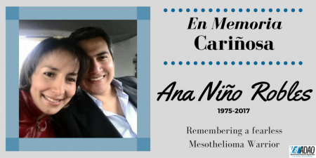 ana-nino-canva