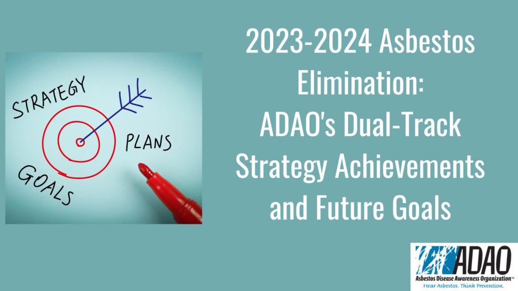 20232024 Asbestos Elimination ADAO's DualTrack Strategy Achievements