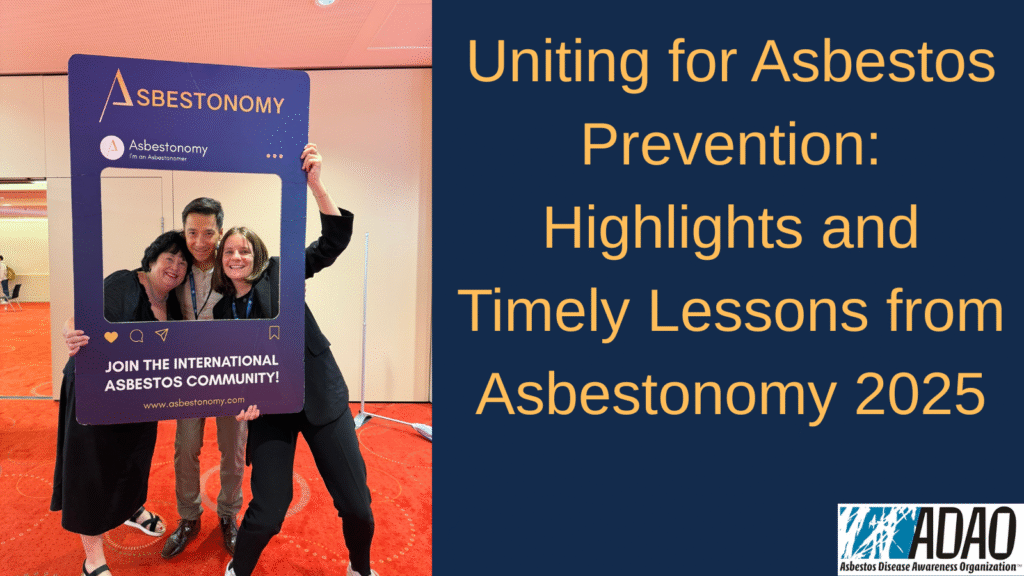 2025-Lessons-from-Asbestonomy--1024x576 image