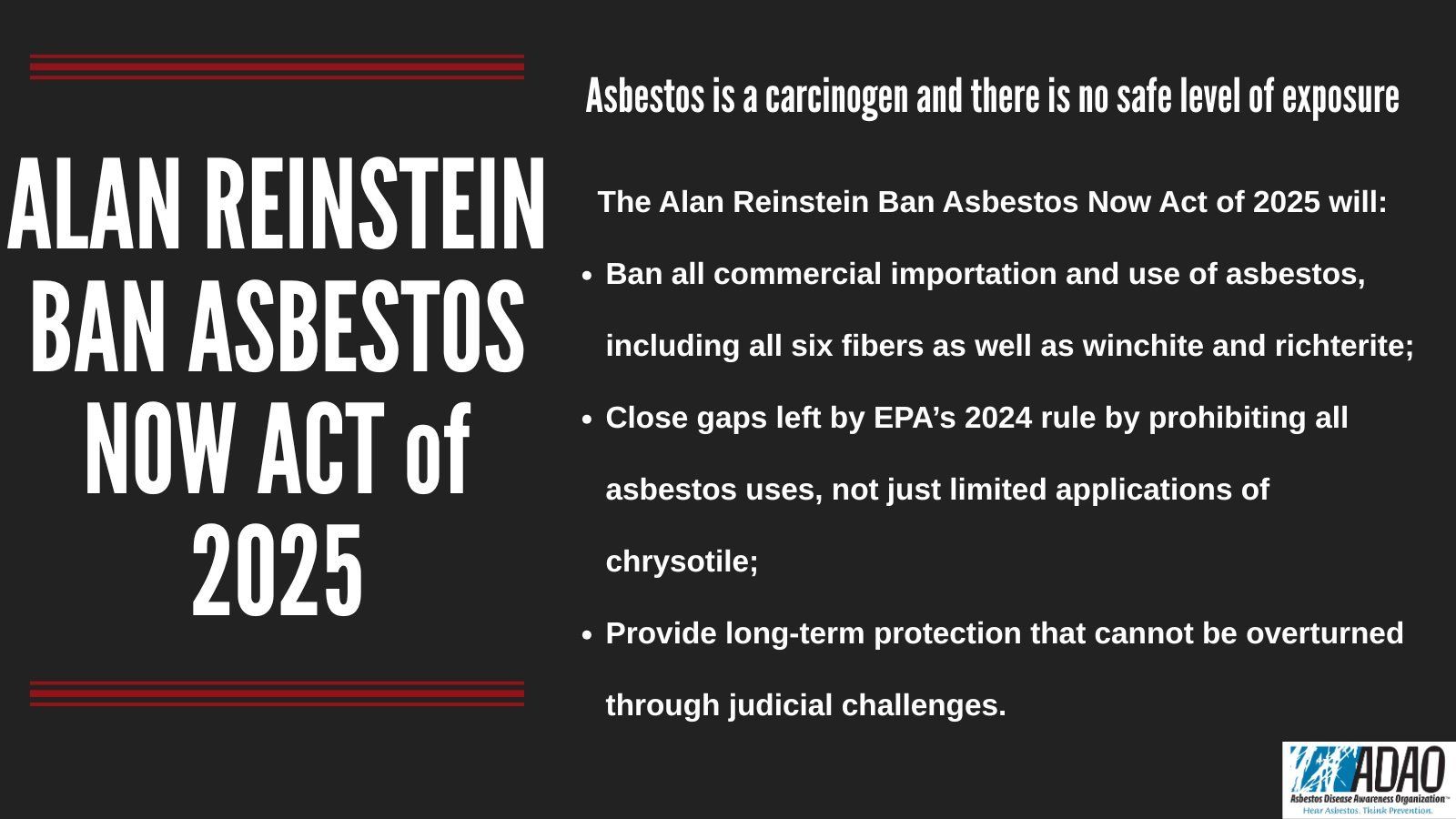 Alan Reinstein Ban Asbestos Now Act of 2025